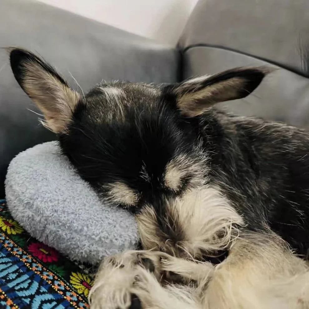 Pet Calming Pillow