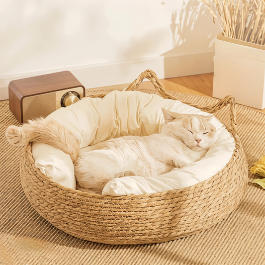 Handwoven Pet Basket Bed